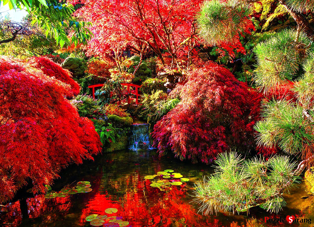 부차트 - 일본 가을의 정원